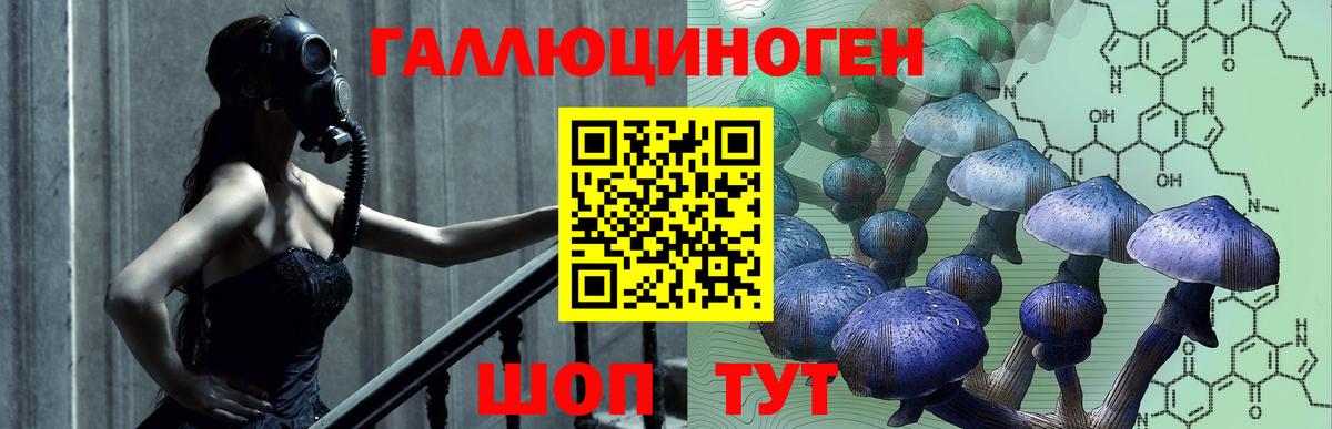 Донецк  закладка  Вход с VPN  Псилоцибиновые грибы Cubensis 