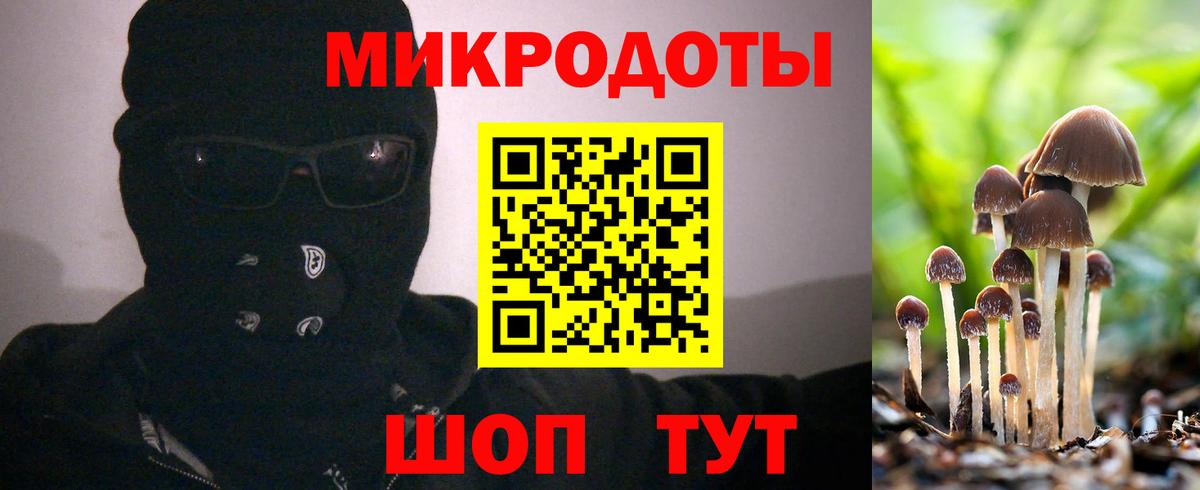 Галлюциногенные грибы Psilocybe Донецк